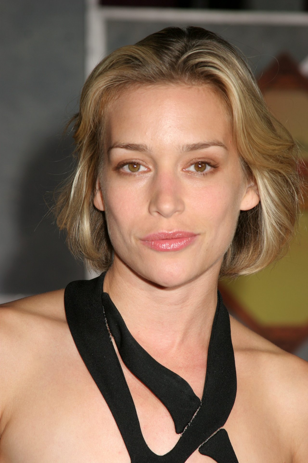 pictures-of-piper-perabo