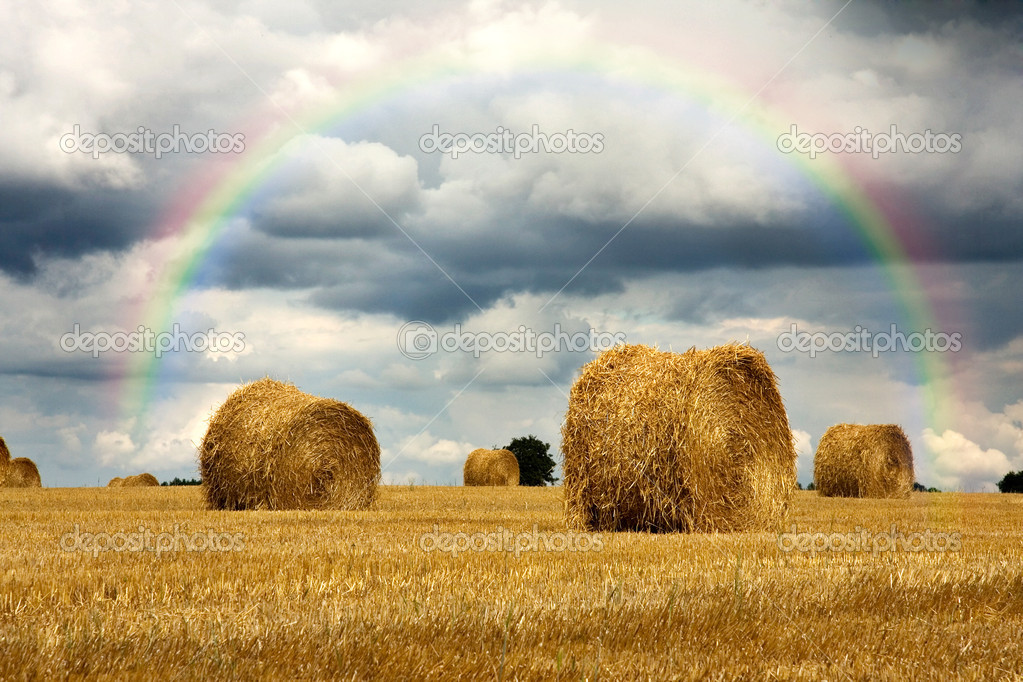 rainbow-harvest-kids