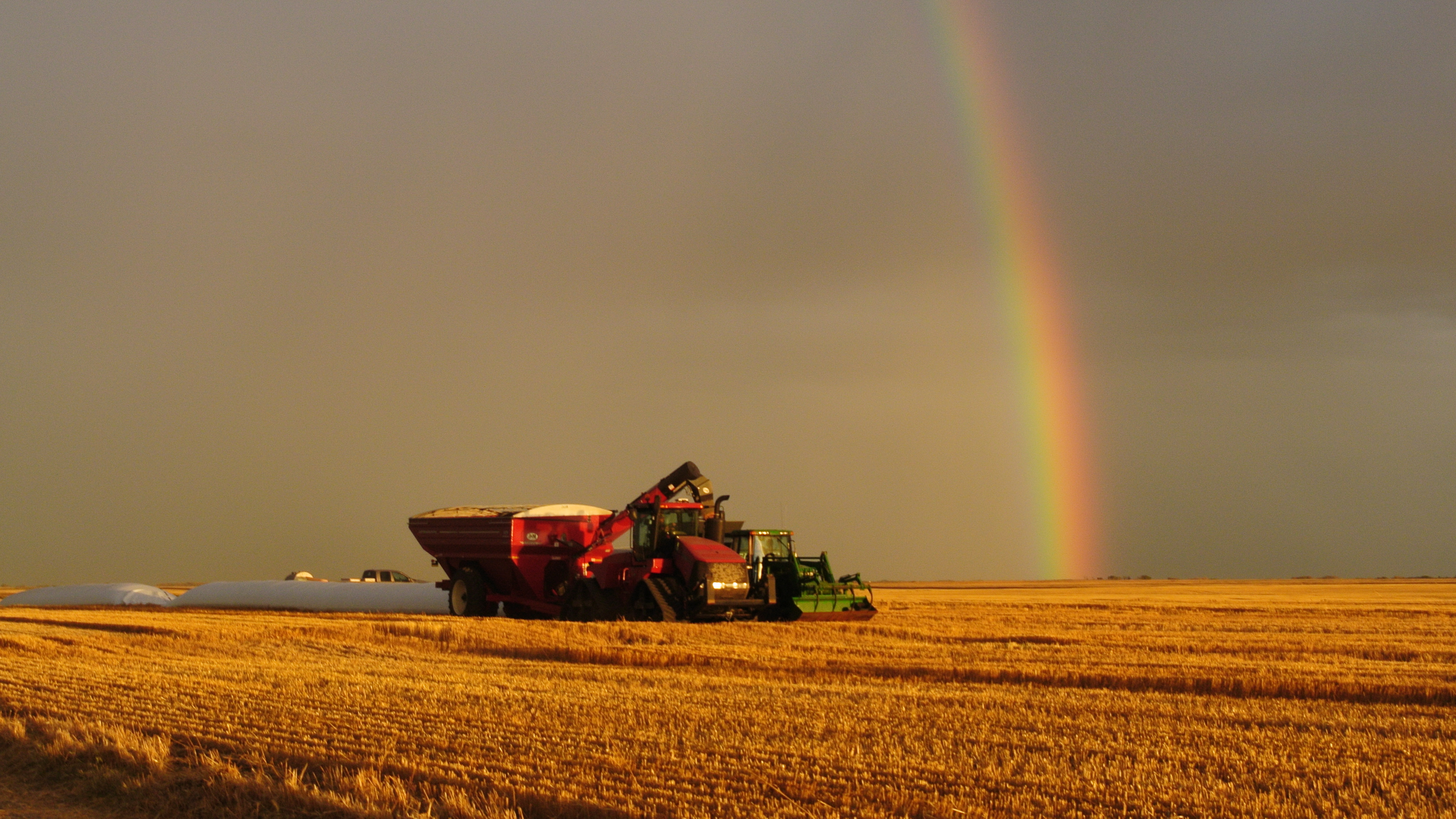 rainbow-harvest-news