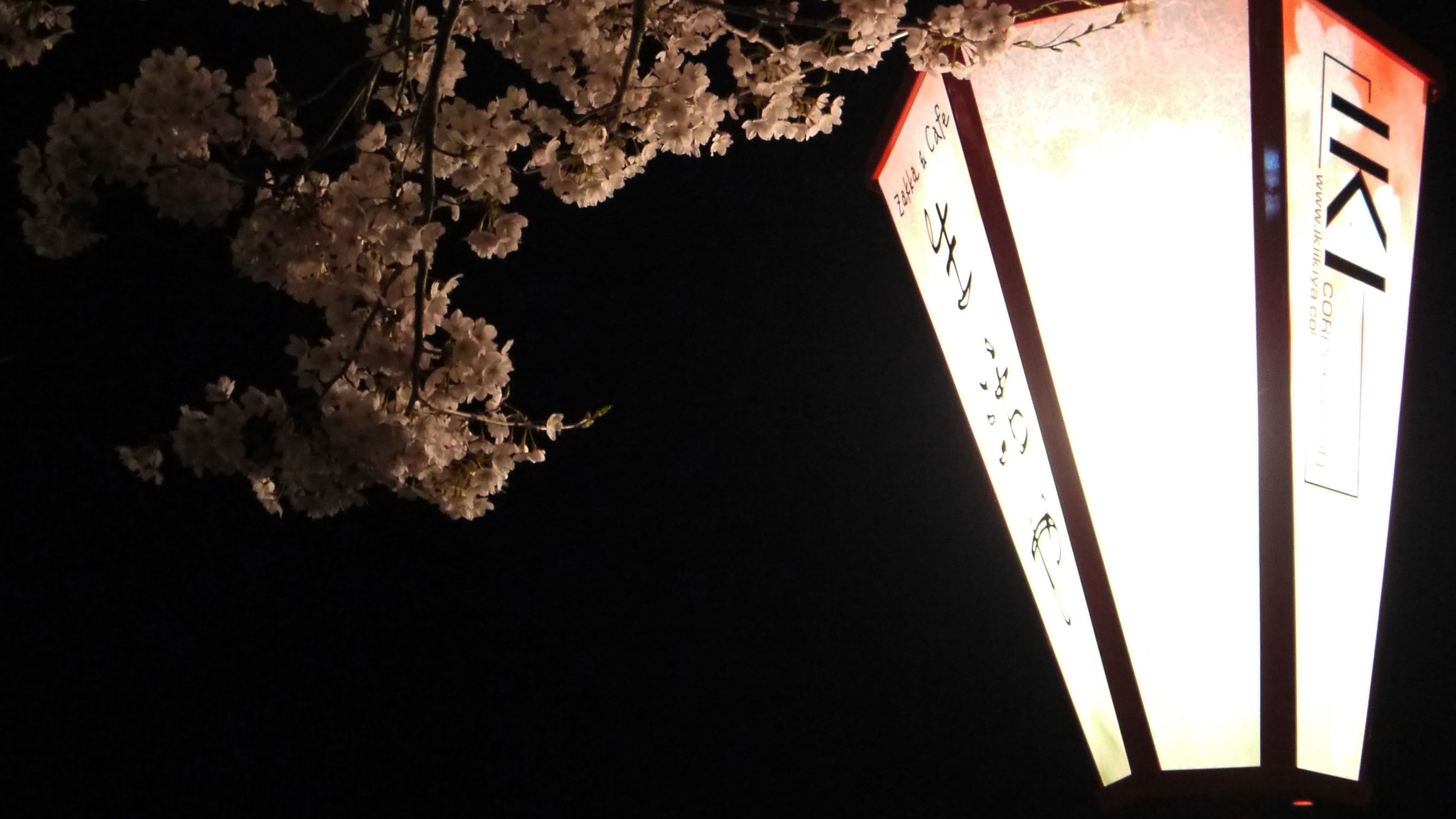 pictures-of-ren-hanami