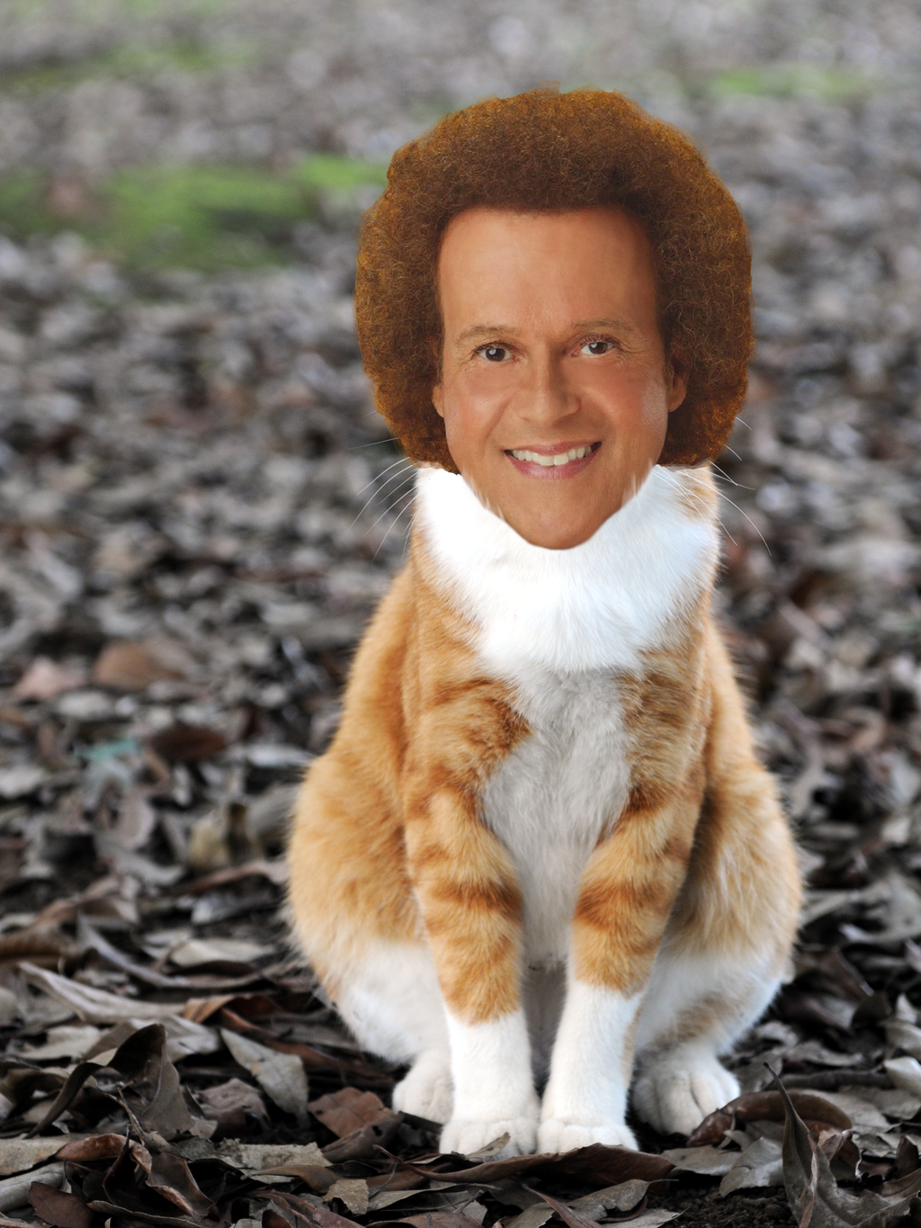 richard-simmons-party