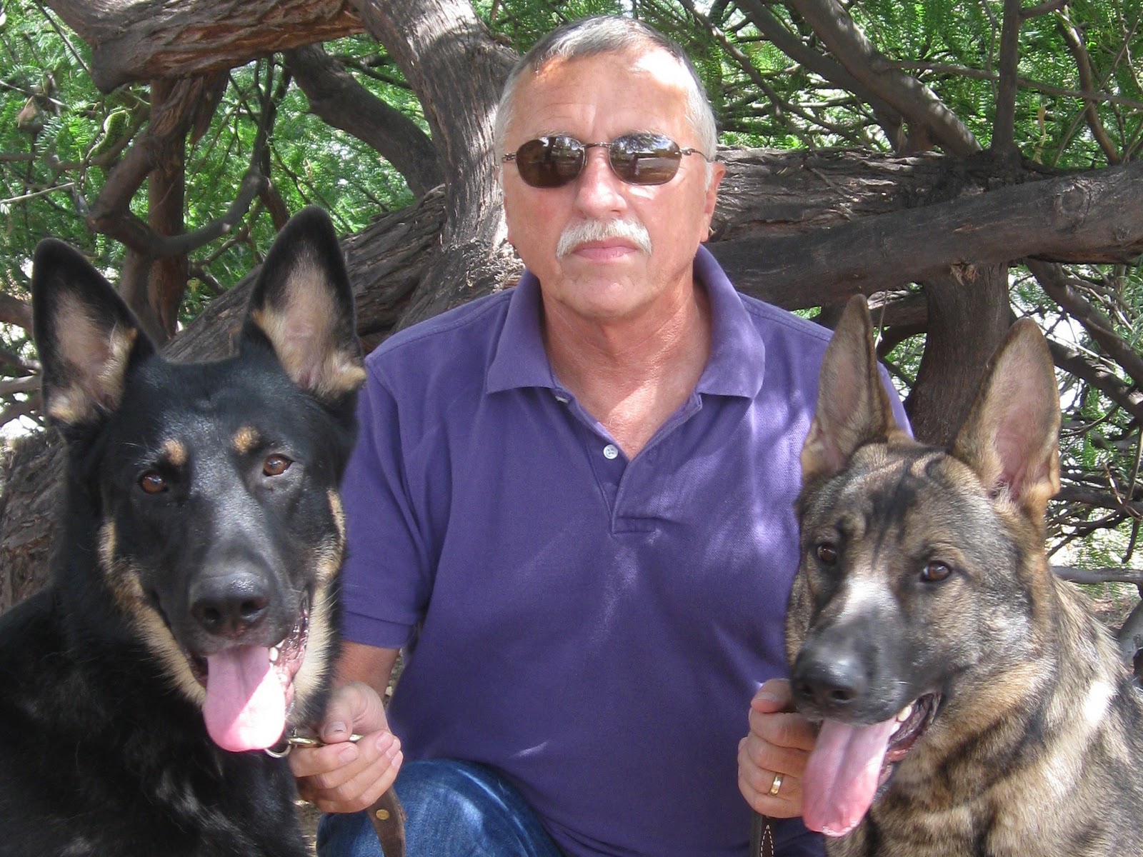 robert-cicchini-parents