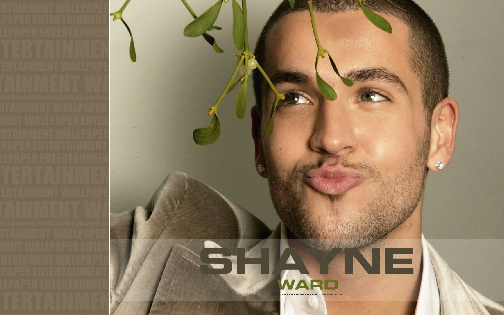 robert-shayne-summertime