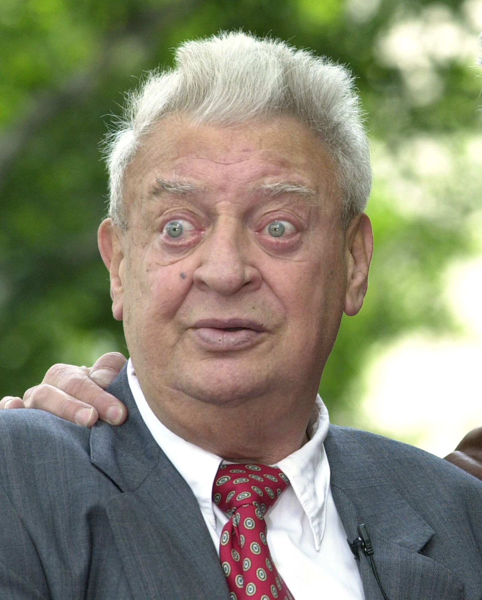 best-pictures-of-rodney-dangerfield