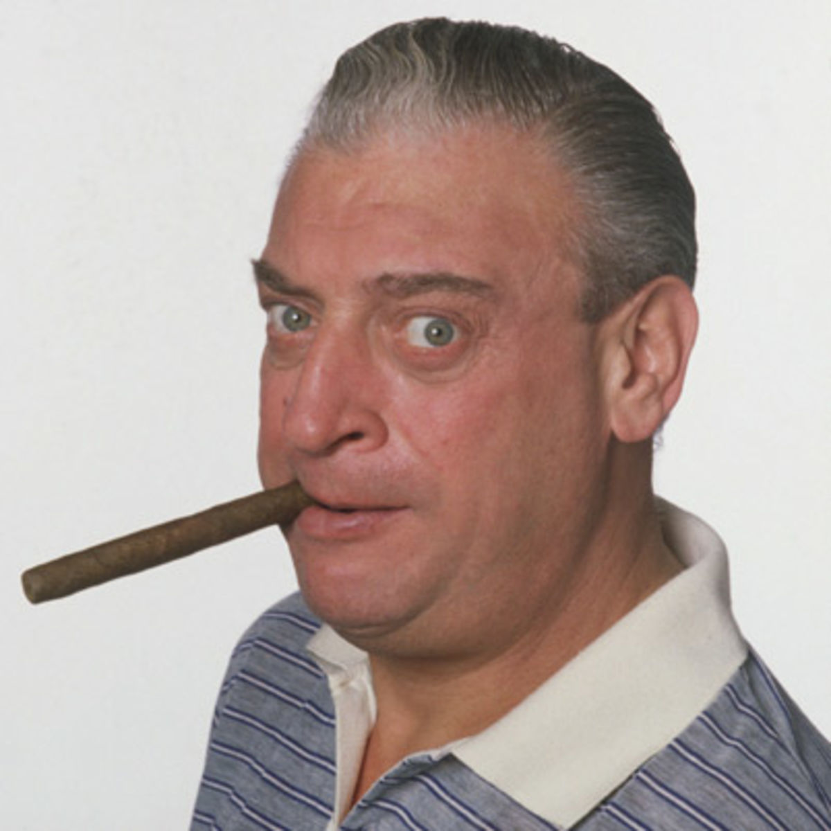 images-of-rodney-dangerfield