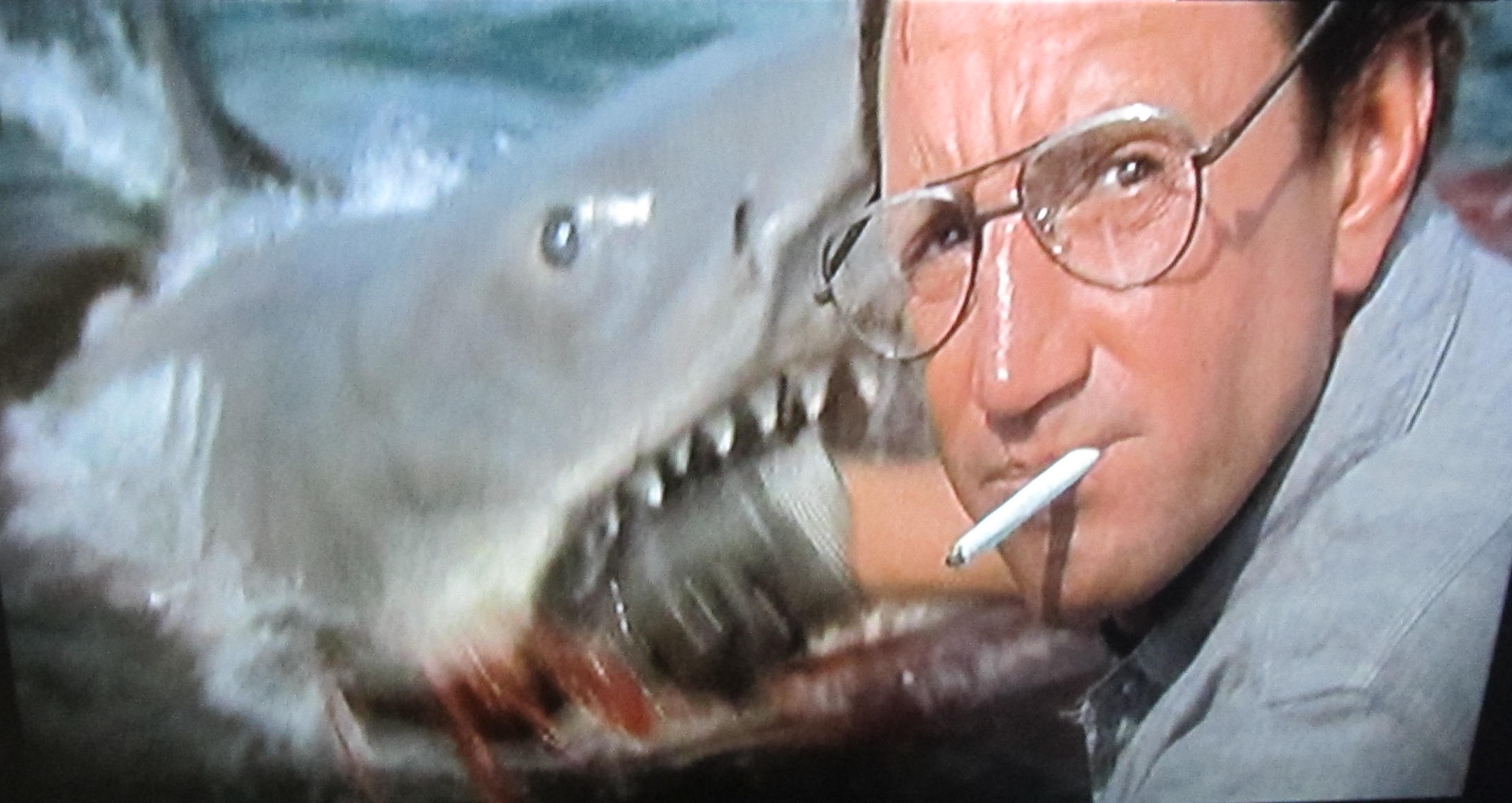 roy-scheider-young