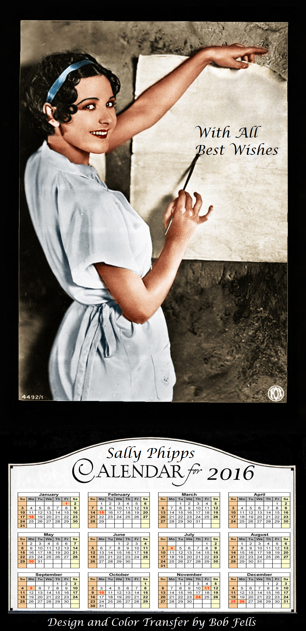 sally-phipps-2016