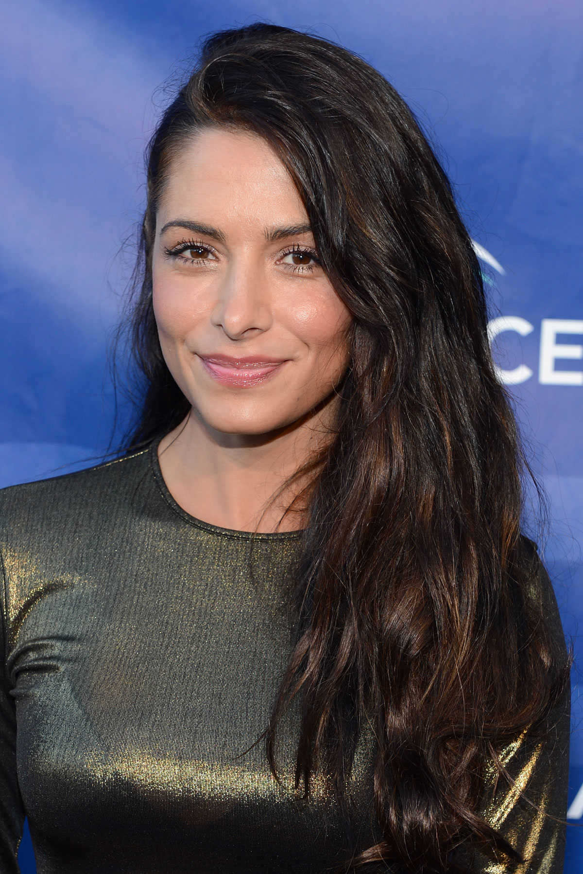 sarah-shahi-news