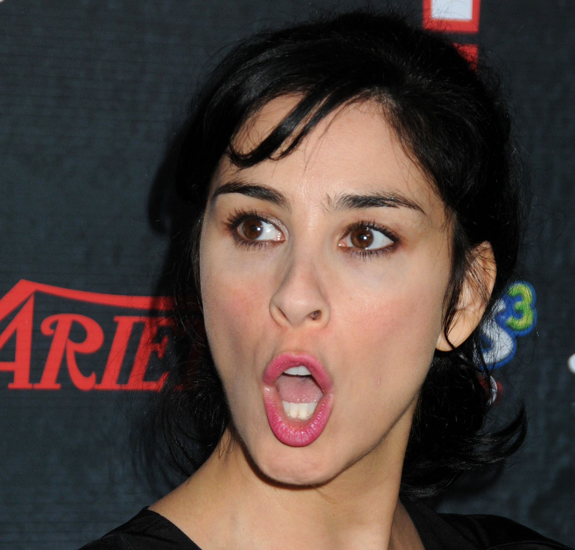 Pictures Of Sarah Silverman Picture 46760 Pictures