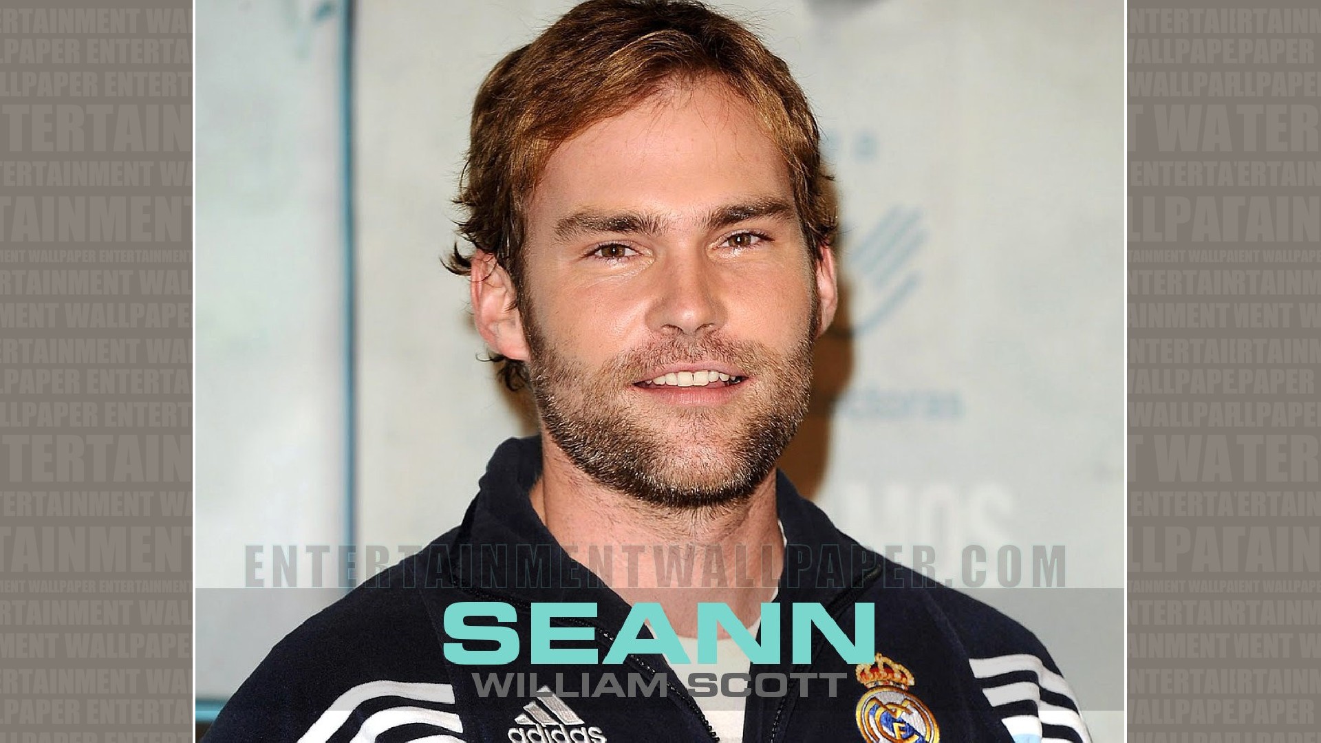 seann-william-scott-wallpaper