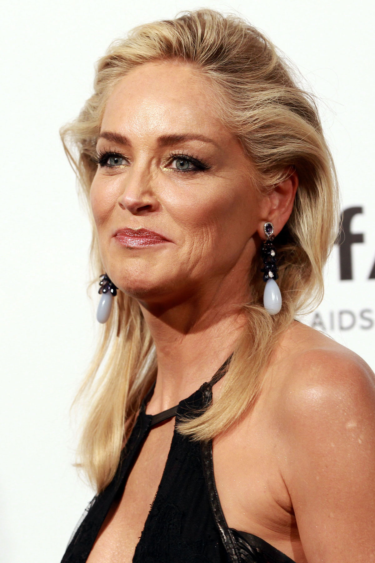 sharon-stone-house