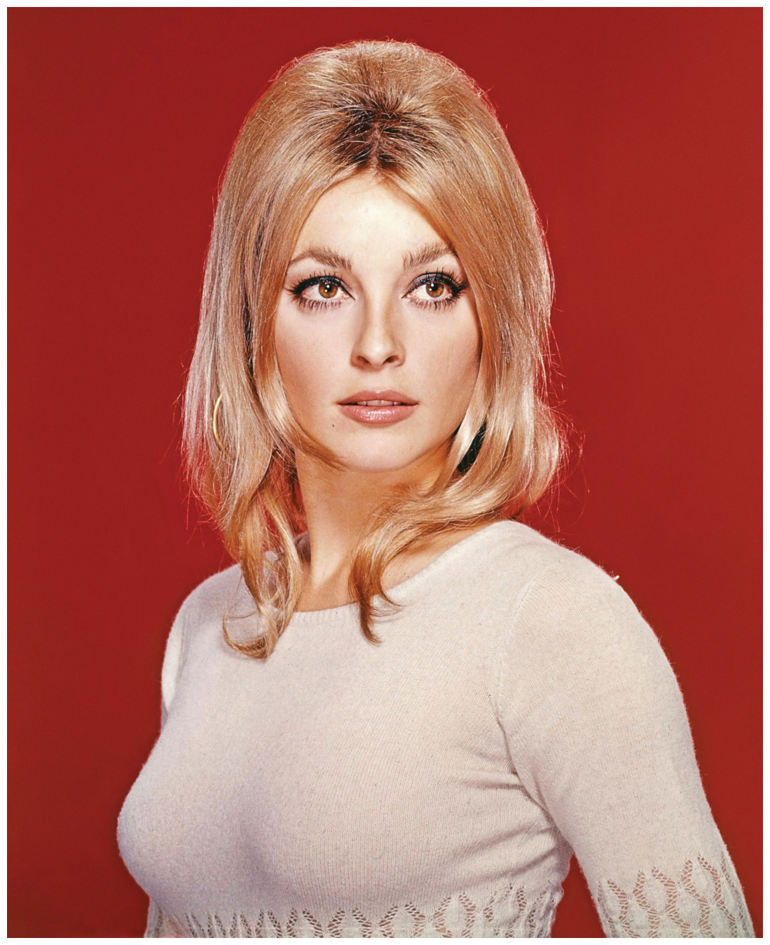 sharon-tate-news