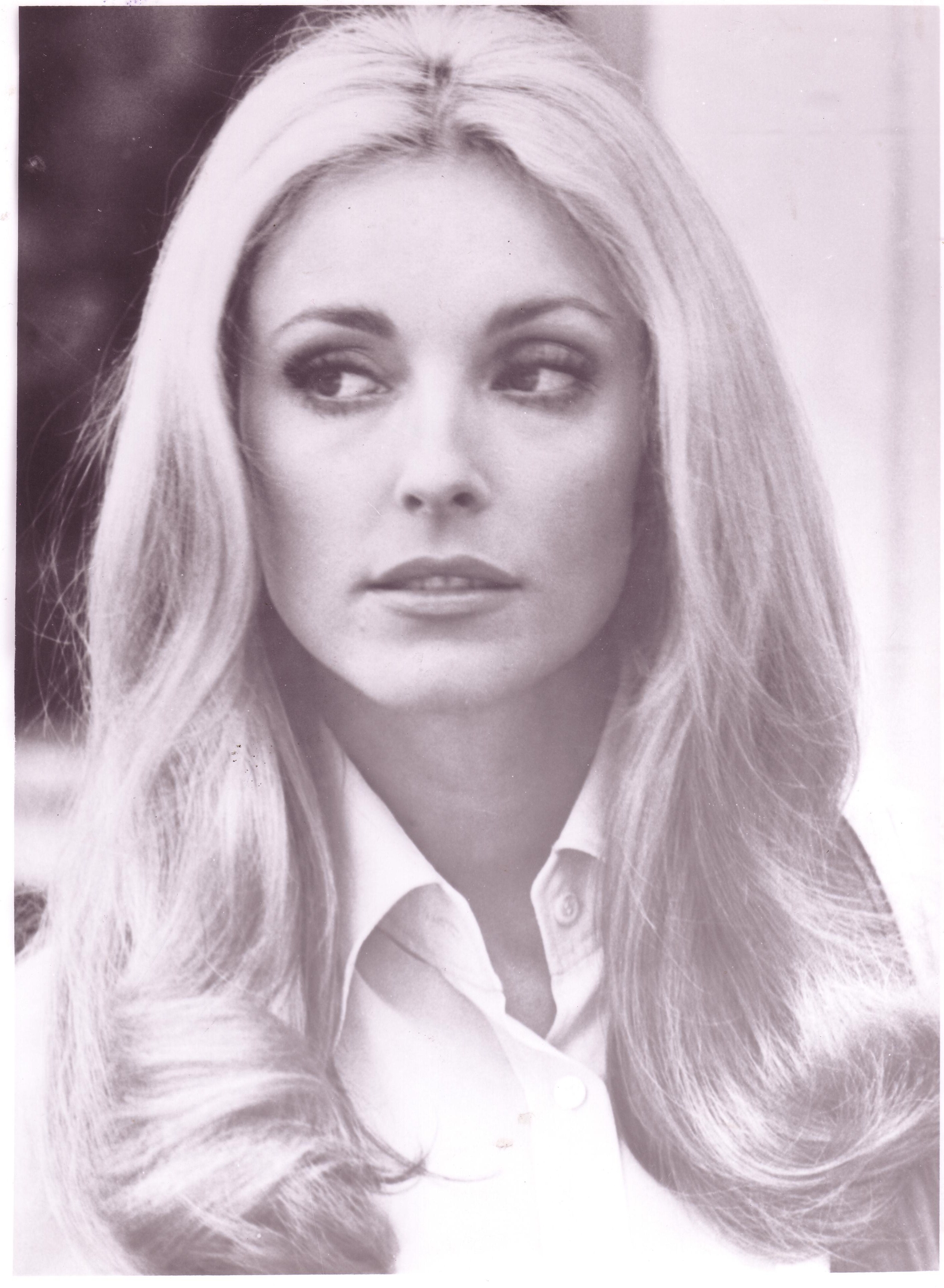 sharon-tate-wallpaper