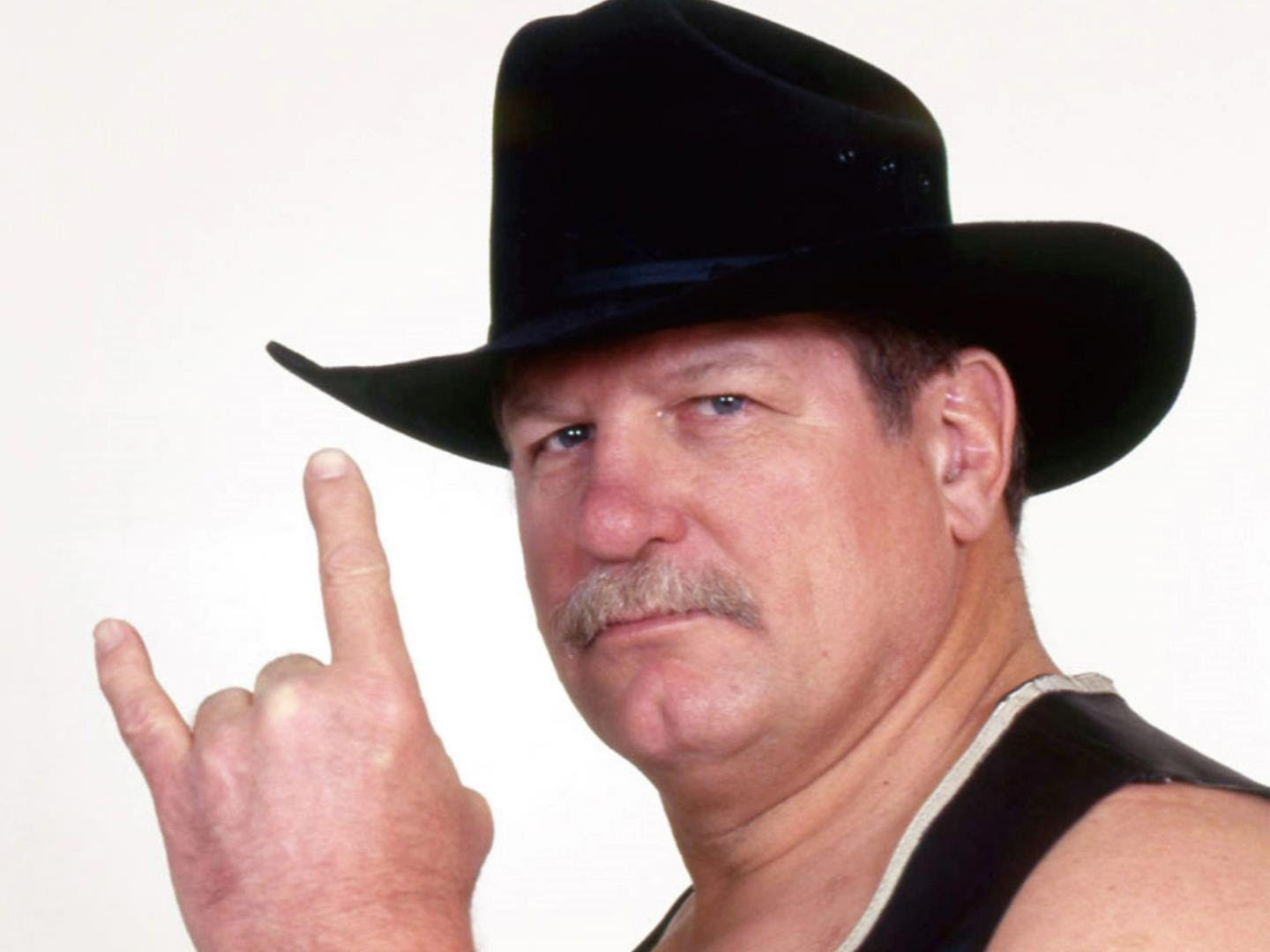 stan-hansen-images