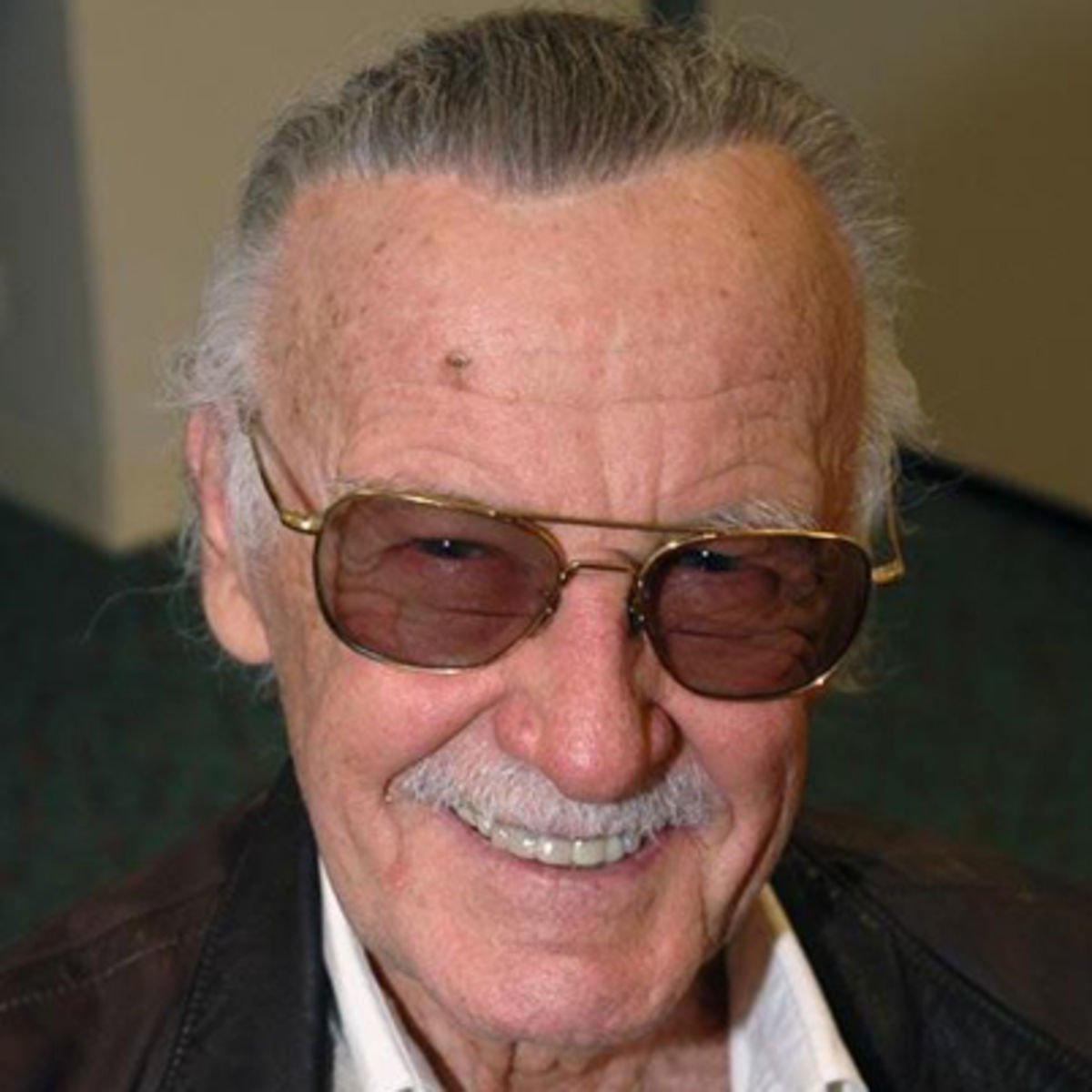 pictures-of-stan-lee
