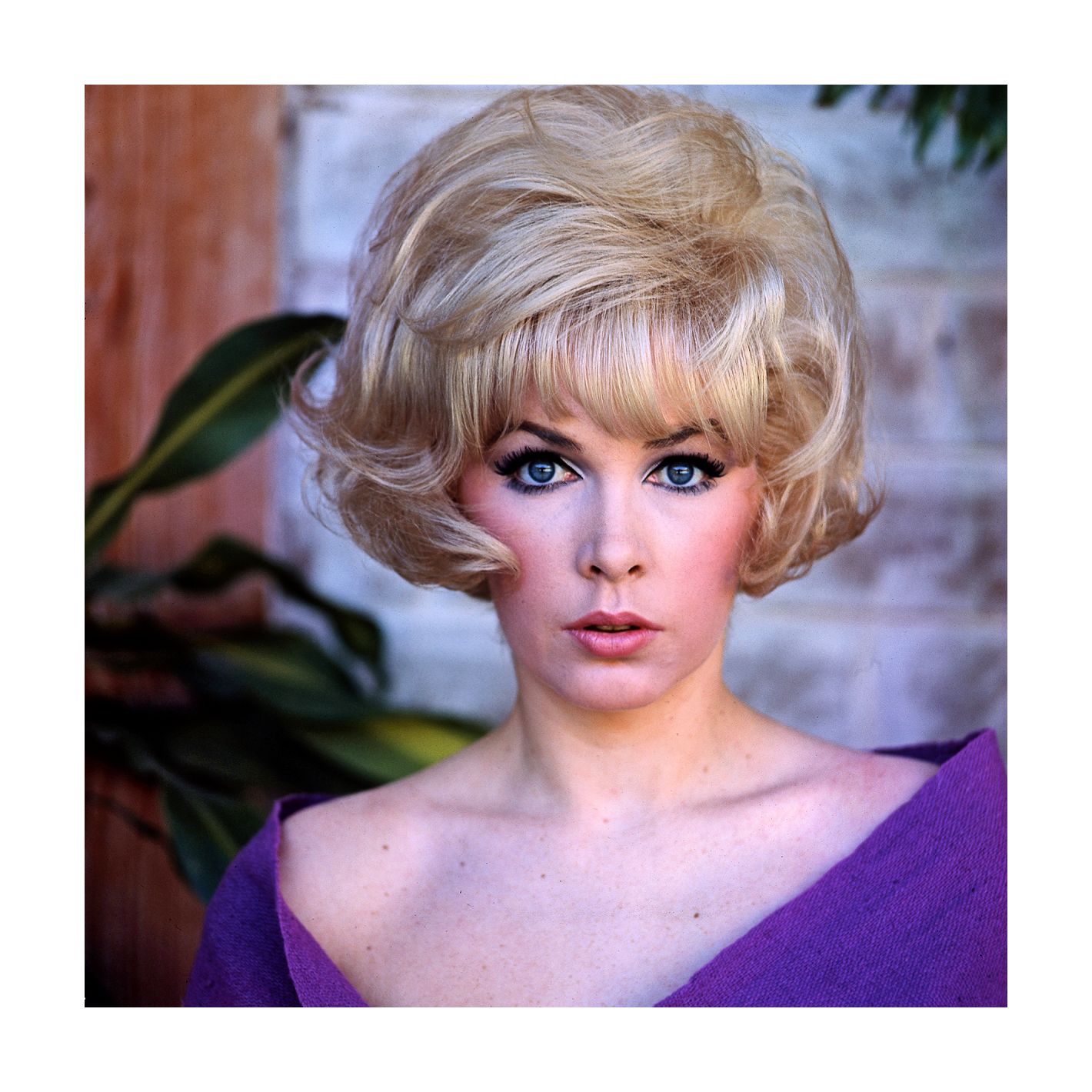 stella-stevens-images