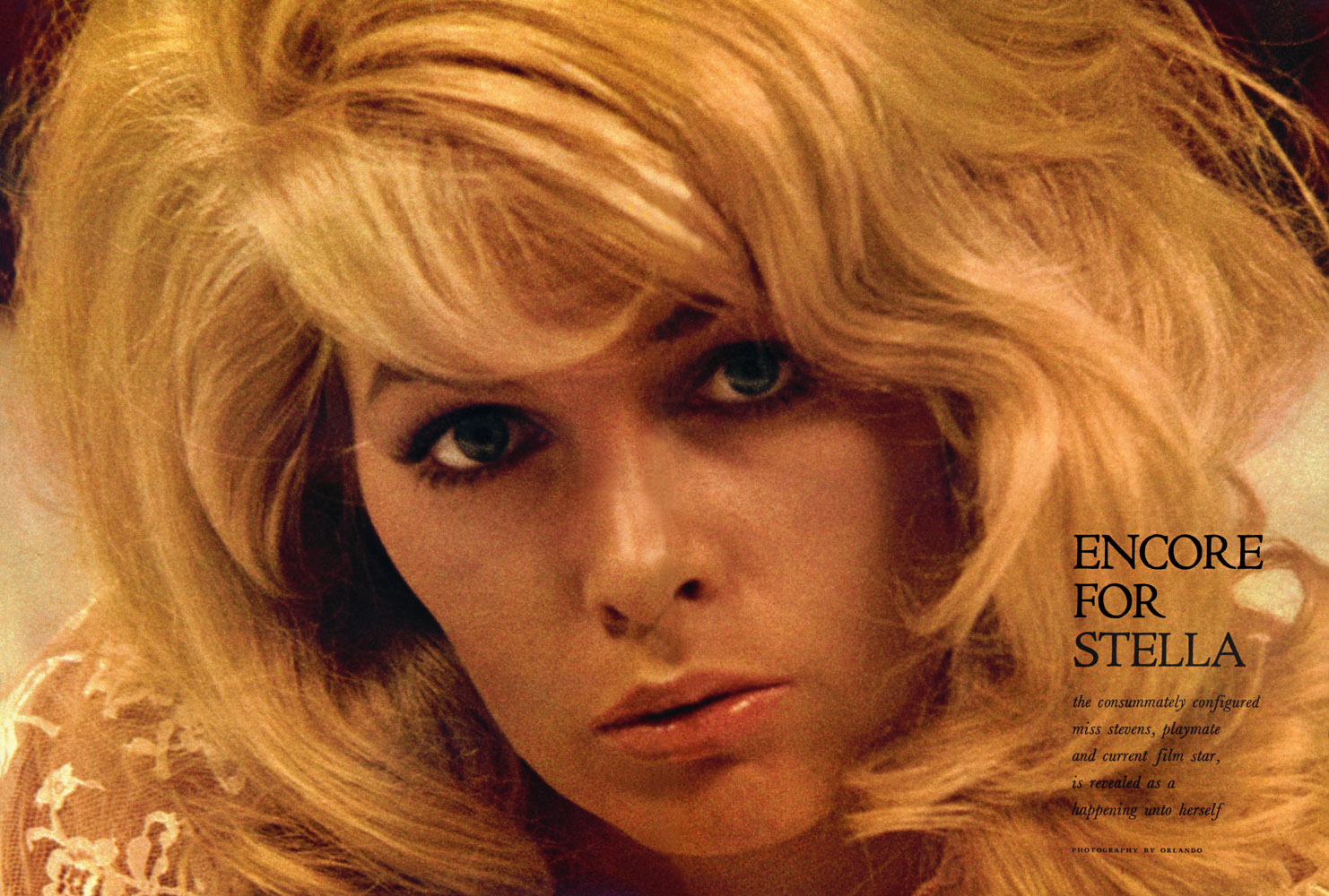 stella-stevens-wallpapers