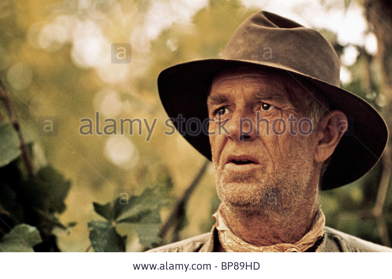 sterling-hayden-photos