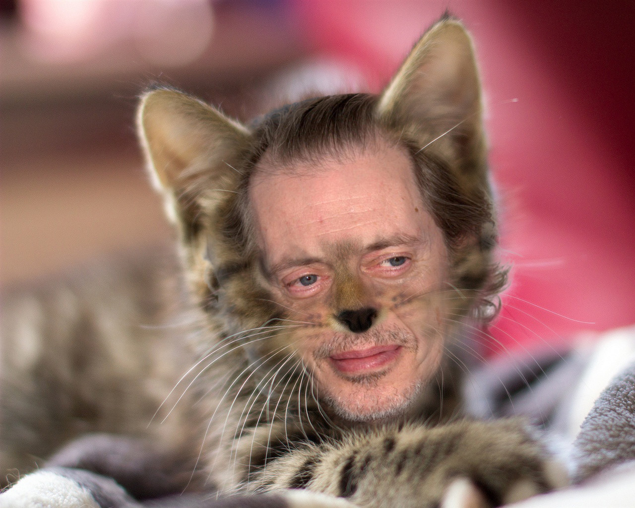 steve-buscemi-party