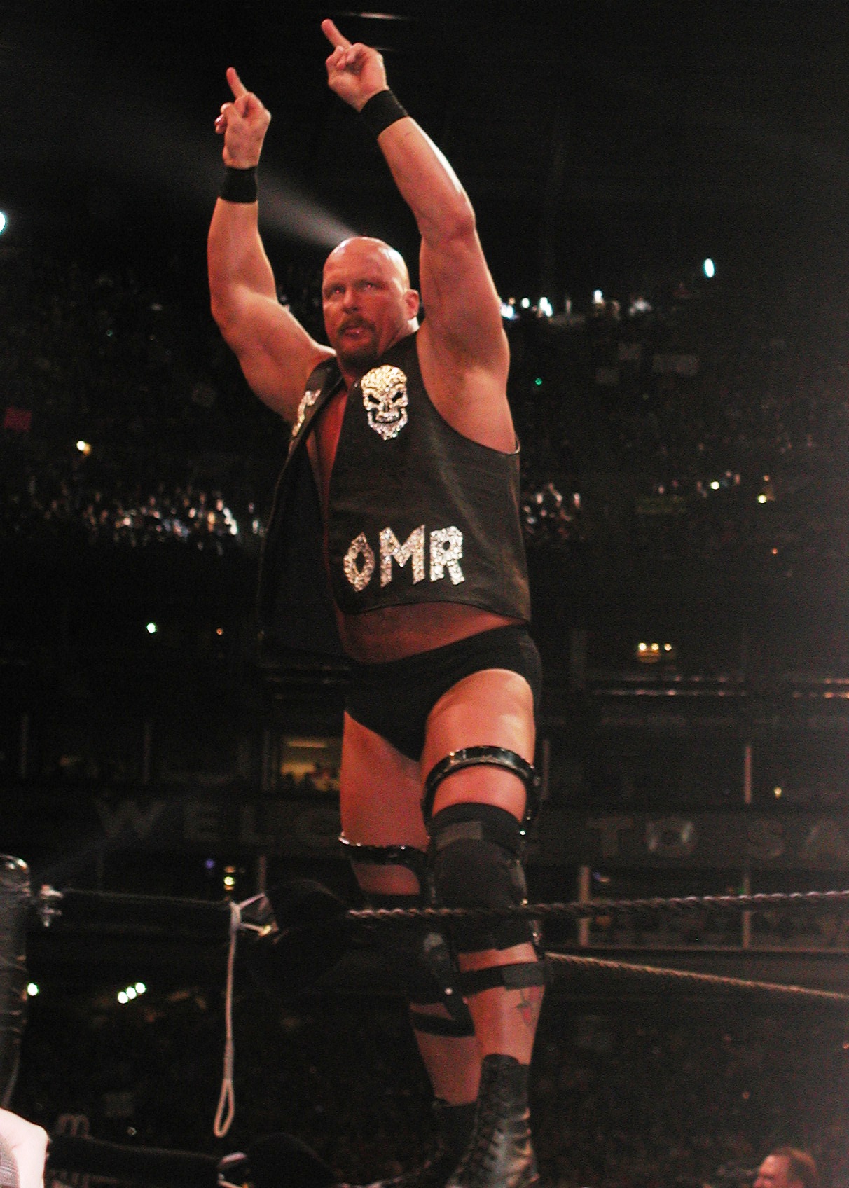 best-pictures-of-stone-cold-steve-austin