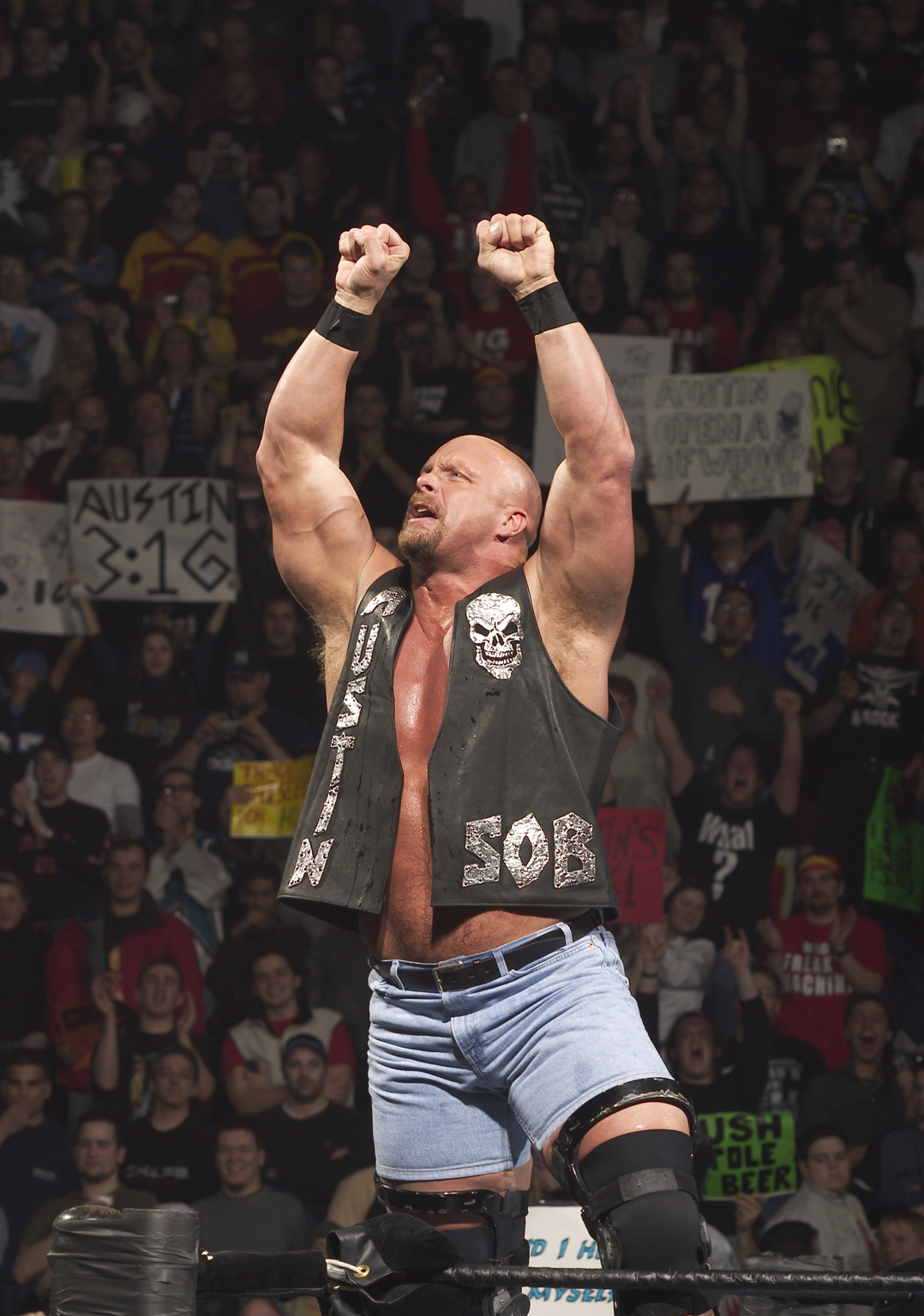 pictures-of-stone-cold-steve-austin