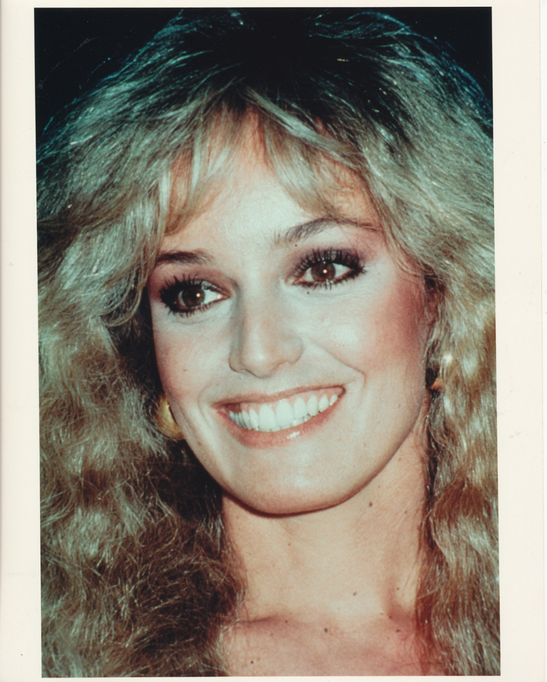 susan-anton-movies