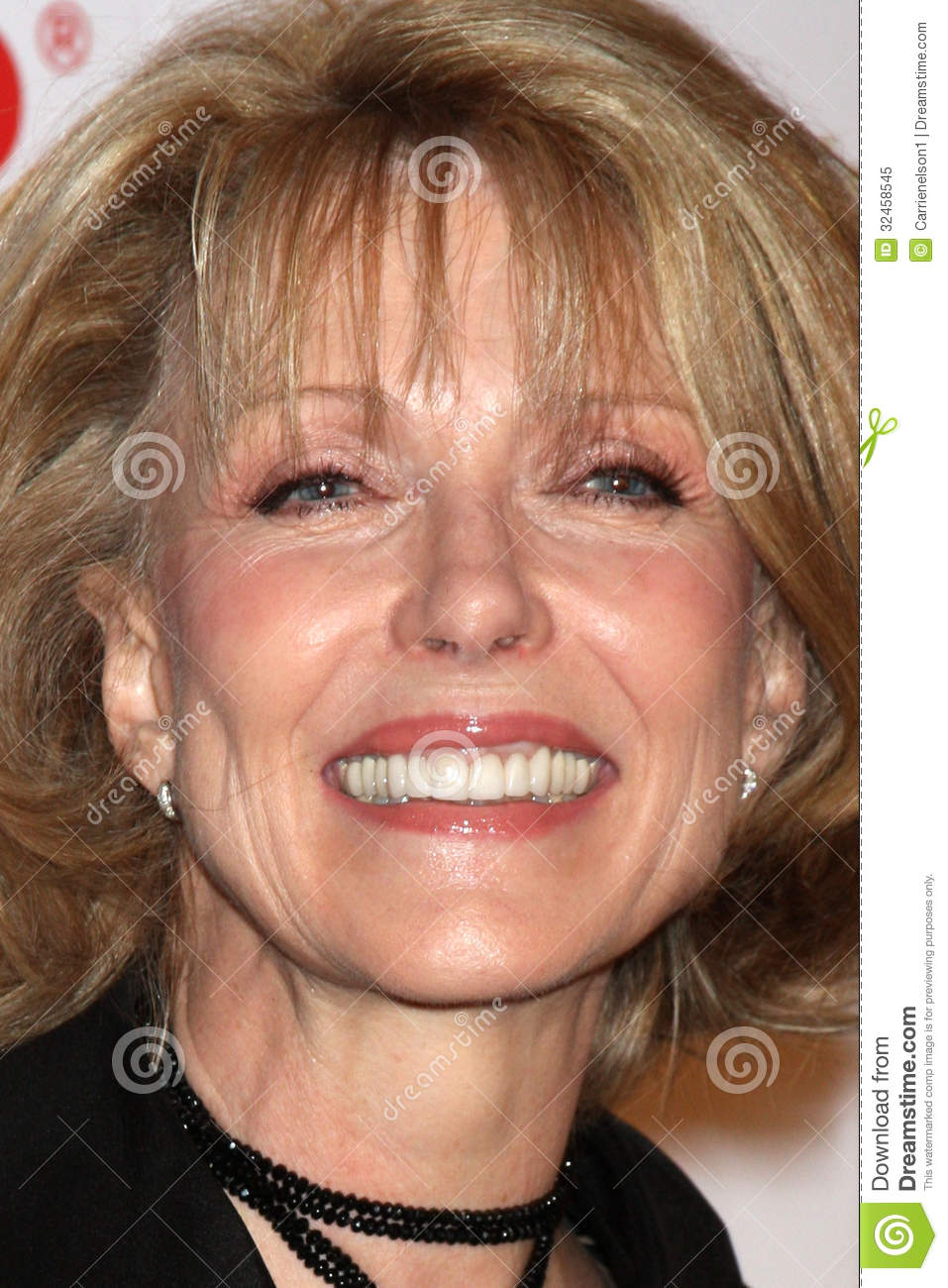 susan-blakely-2015