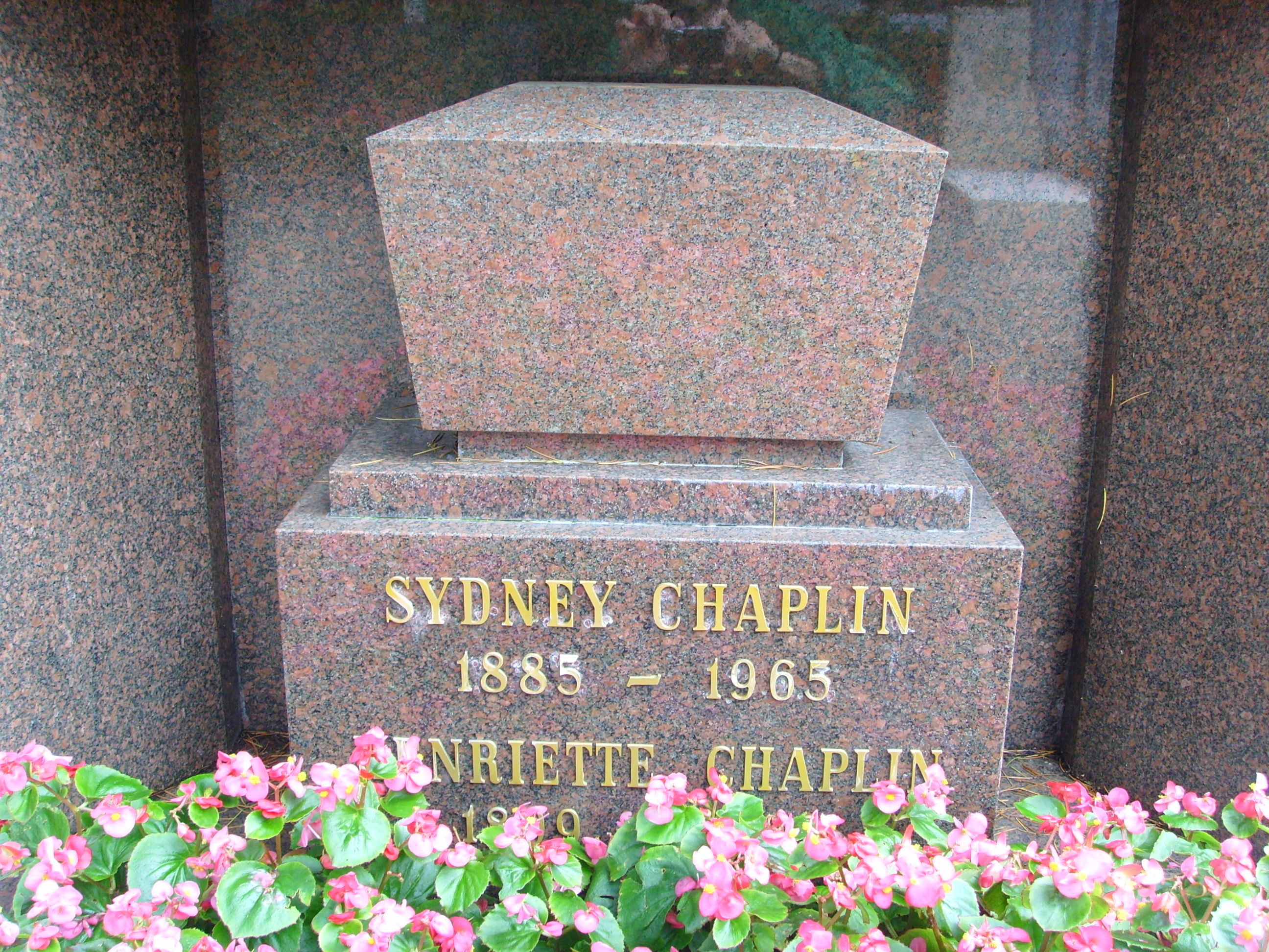 sydney-chaplin-actor-2015