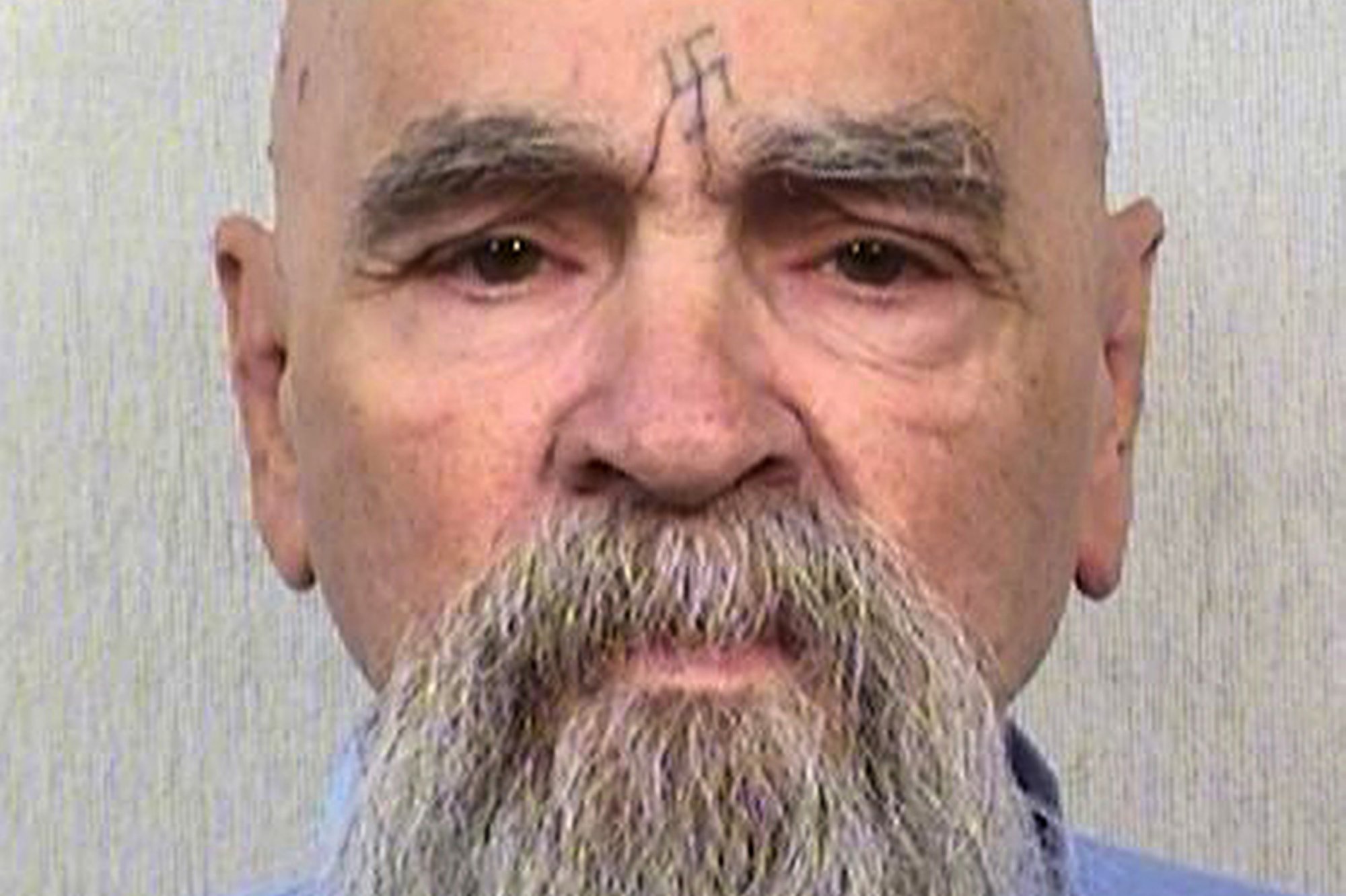 best-pictures-of-ted-manson