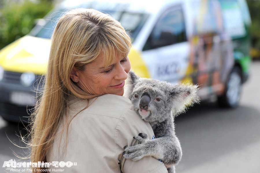 terri-irwin-news