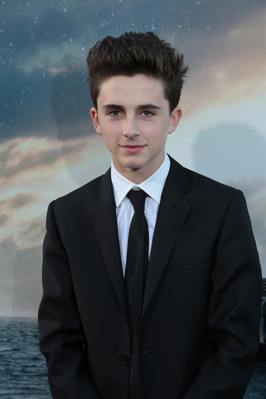 timothee-chalamet-2015