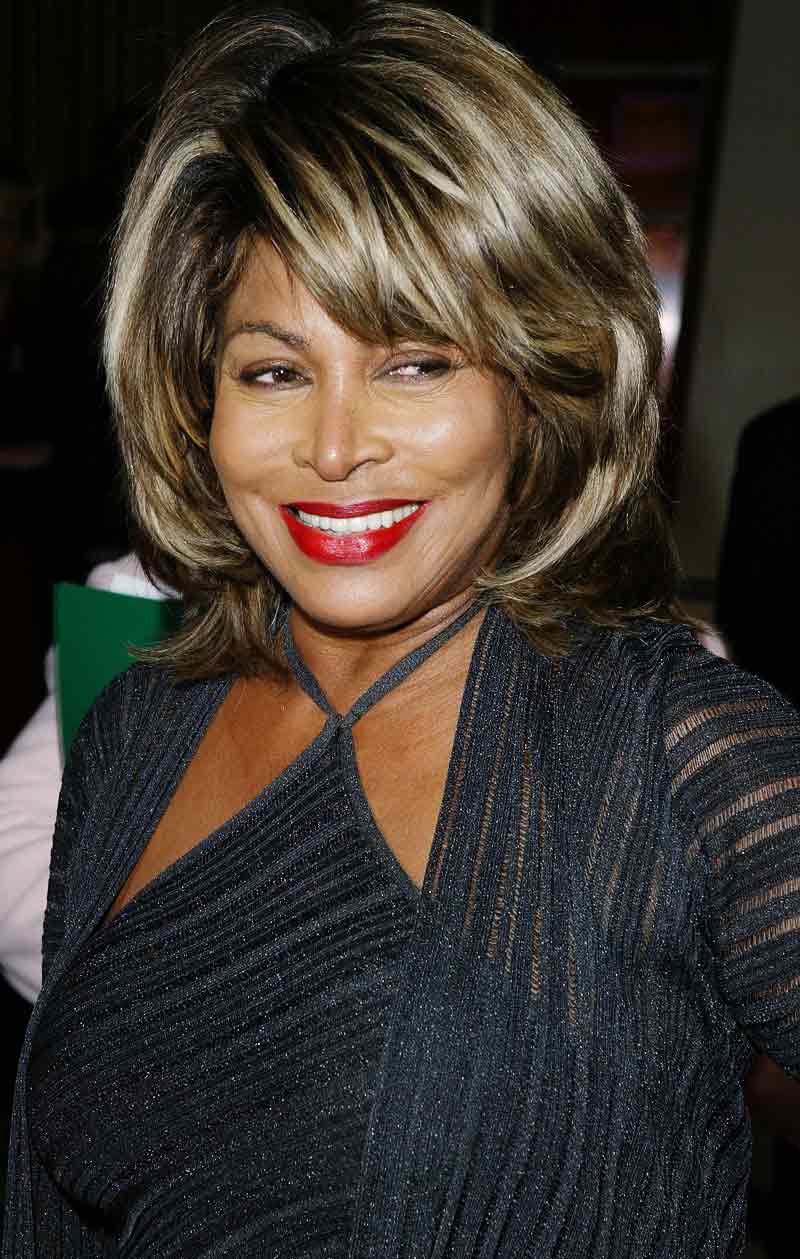 tina-turner-party