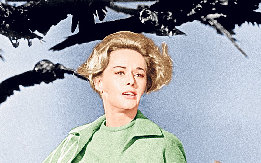 tippi-hedren-hd-wallpaper