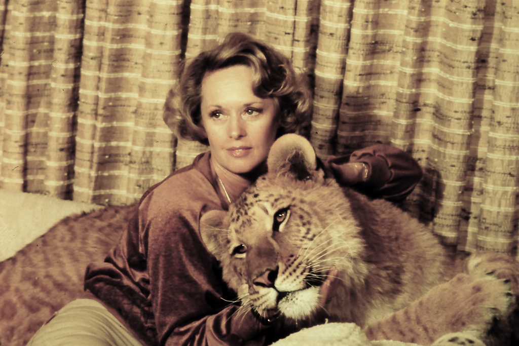 tippi-hedren-photos