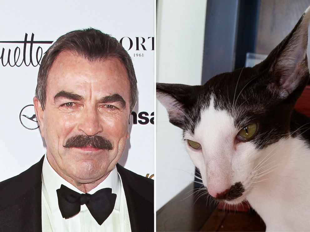 tom-selleck-kids