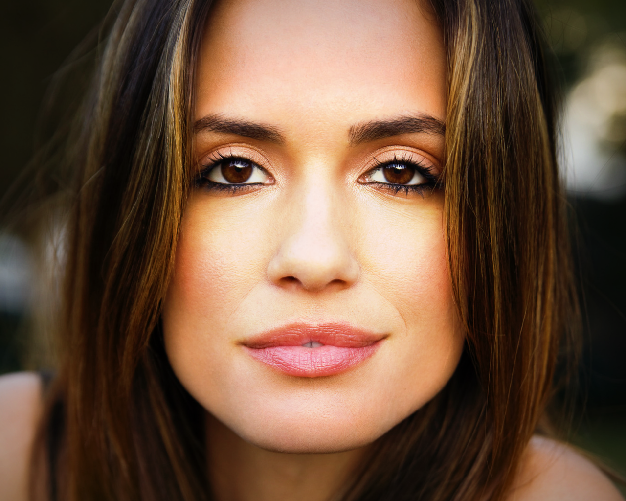 torrey-devitto-news