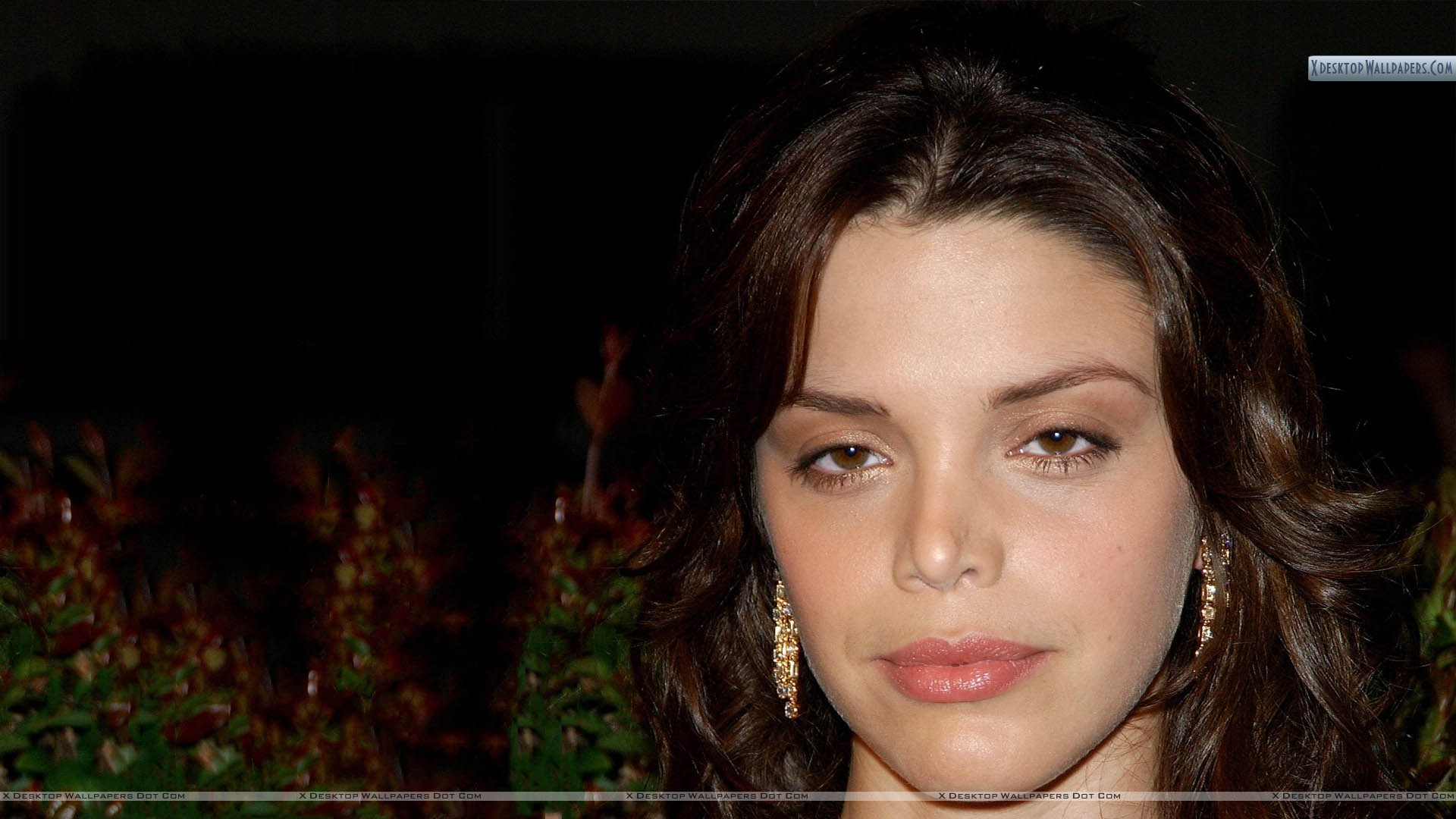 vanessa ferlito photos. 