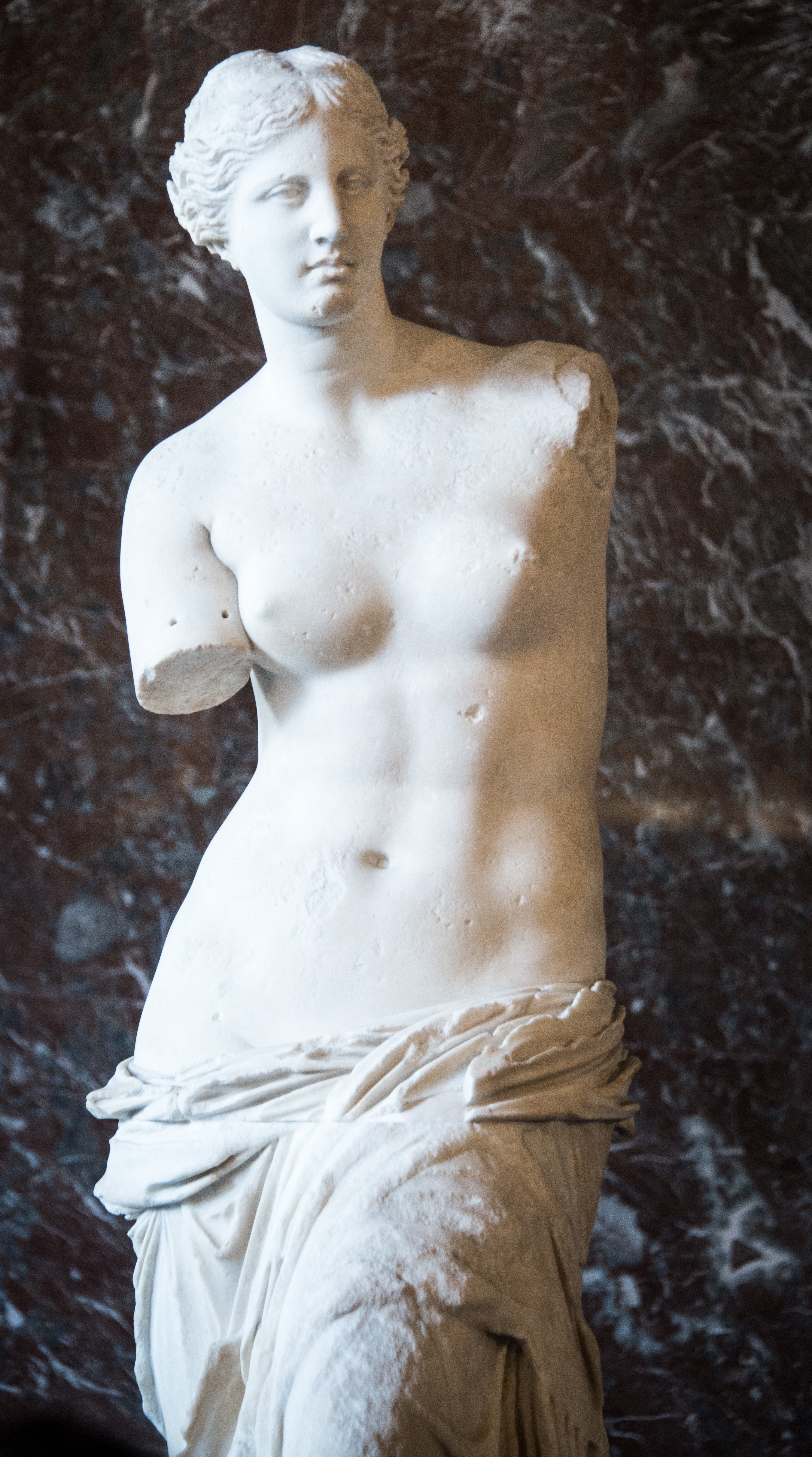 best-pictures-of-venus-demilo