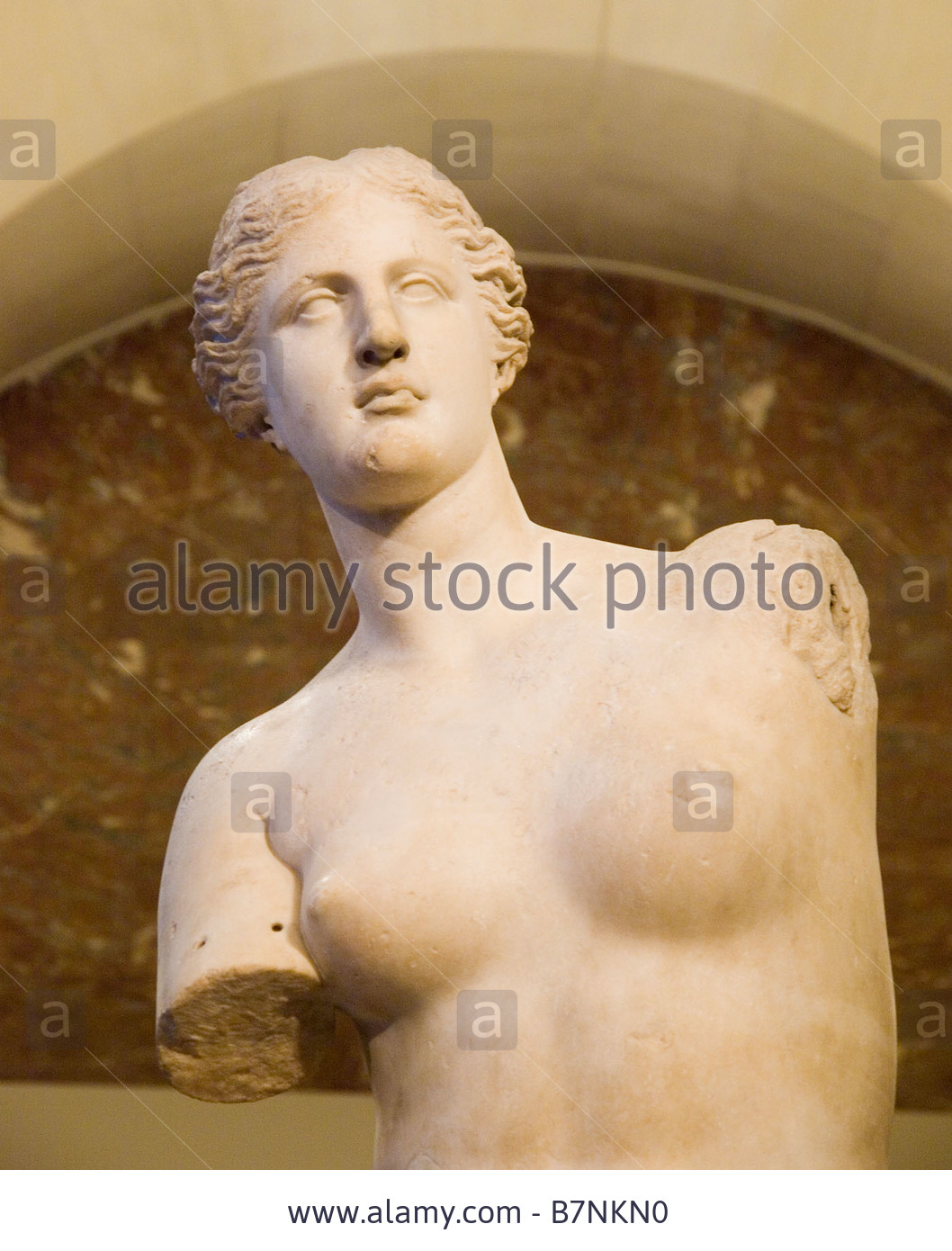 pictures-of-venus-demilo