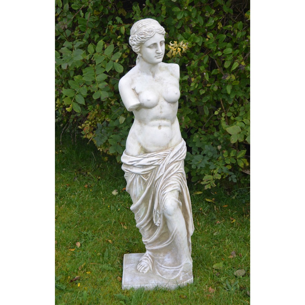 venus-demilo-young