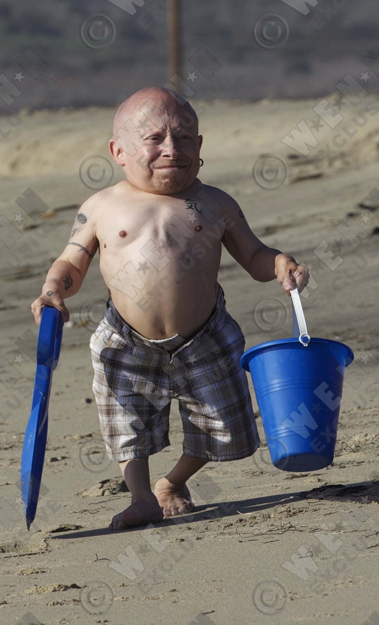 verne-troyer-2016