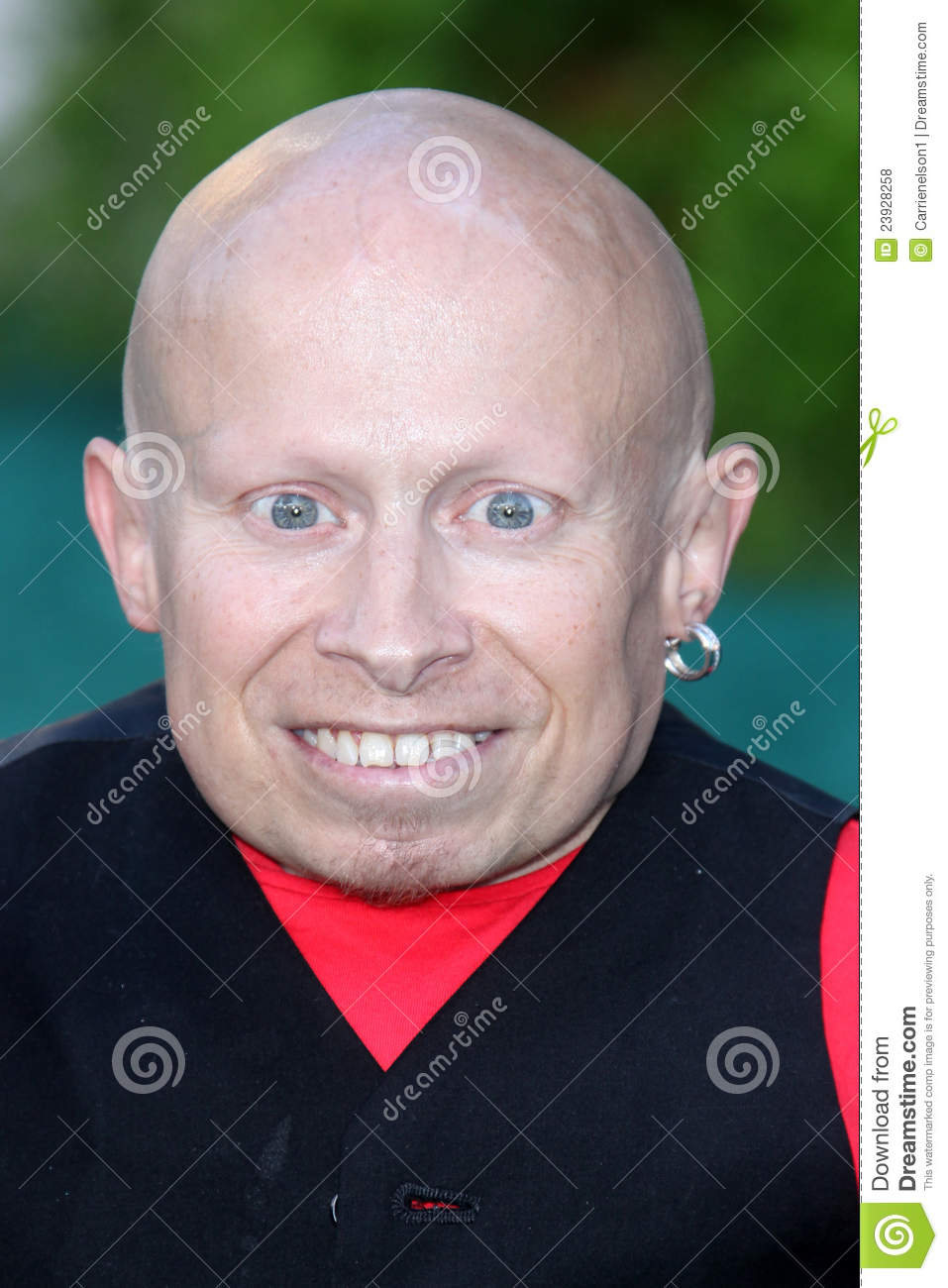 verne-troyer-movies