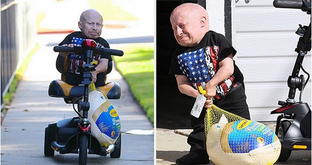 verne-troyer-photos