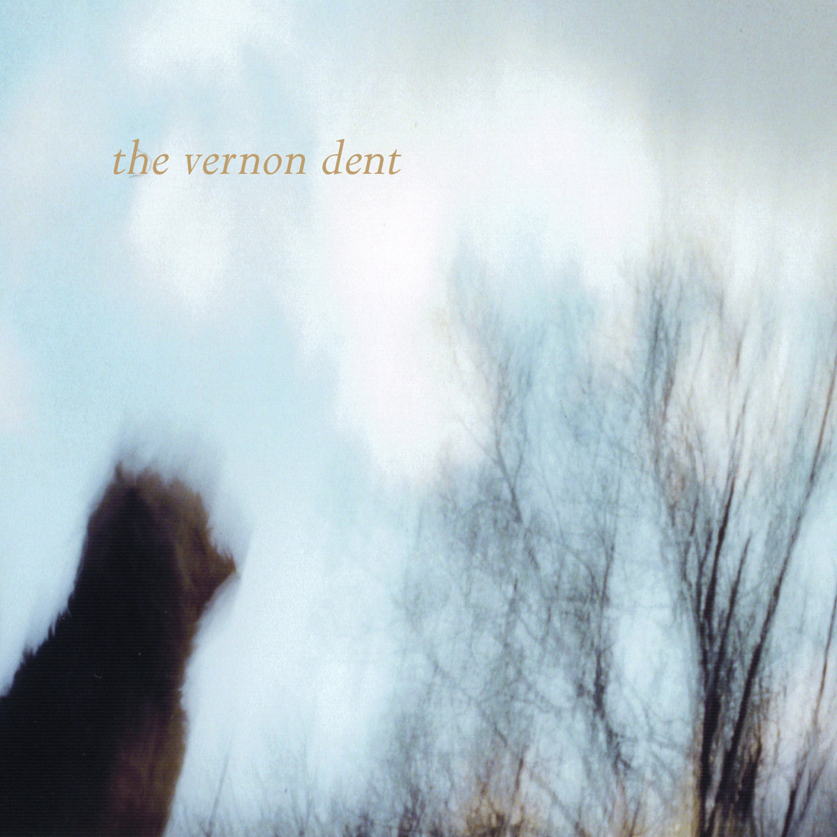 best-pictures-of-vernon-dent