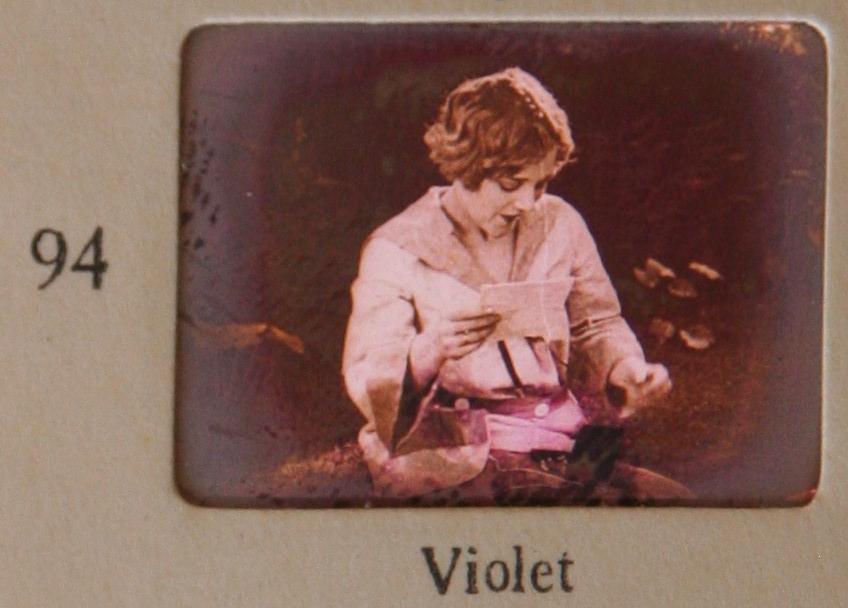 violet-macmillan-2016