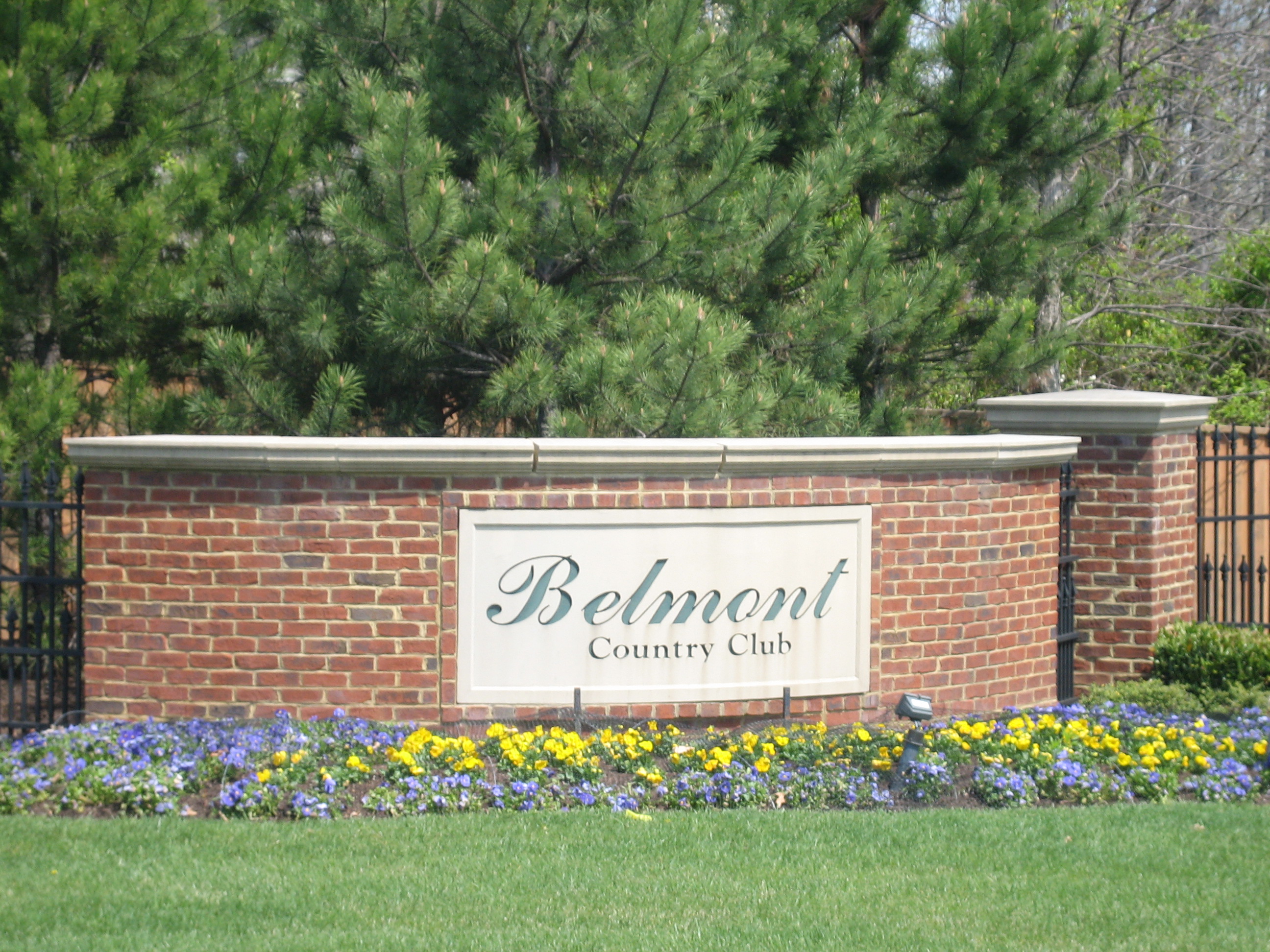 best-pictures-of-virginia-belmont