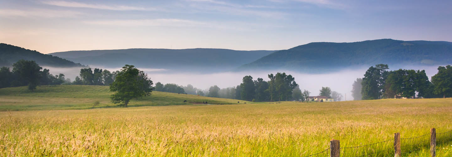 virginia-sale-wallpapers