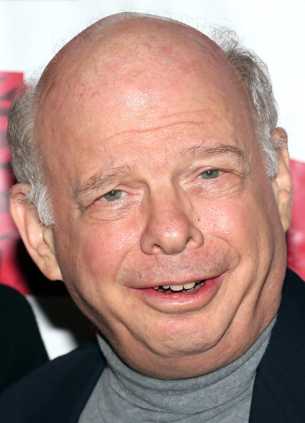 best-pictures-of-wallace-shawn