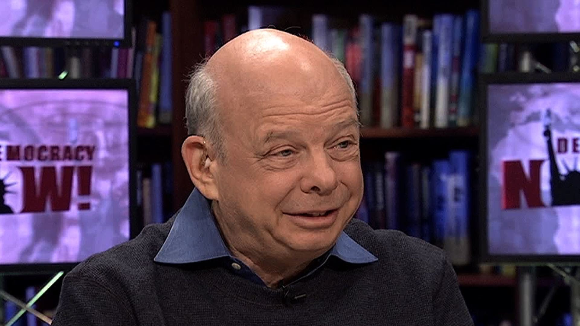 wallace-shawn-2016