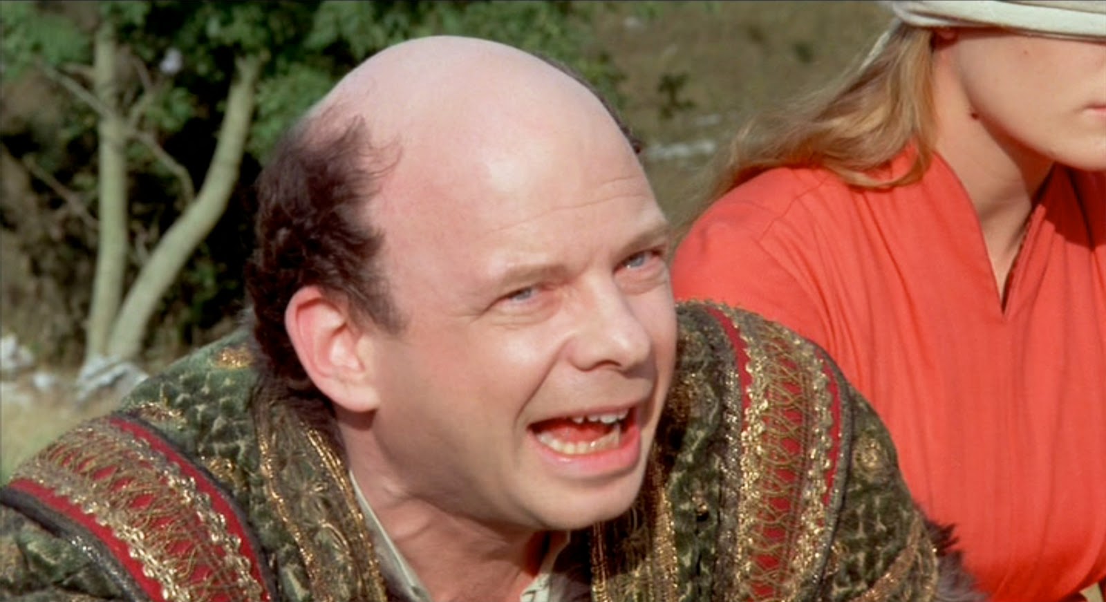 wallace-shawn-gossip